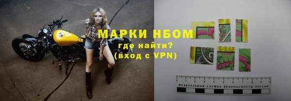 хмурый Арсеньев