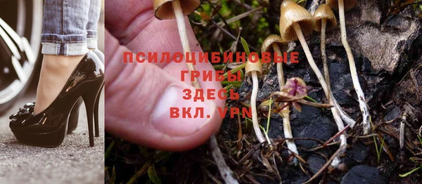 хмурый Арсеньев