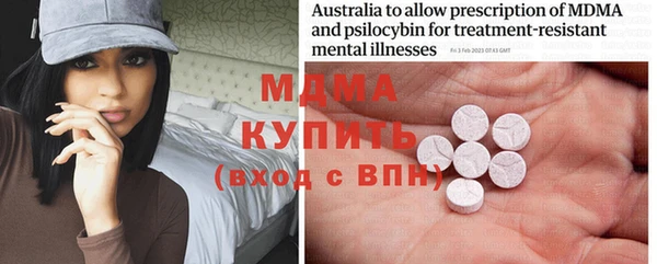 хмурый Арсеньев