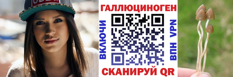 Псилоцибиновые грибы GOLDEN TEACHER  shop наркотические препараты  Удомля 